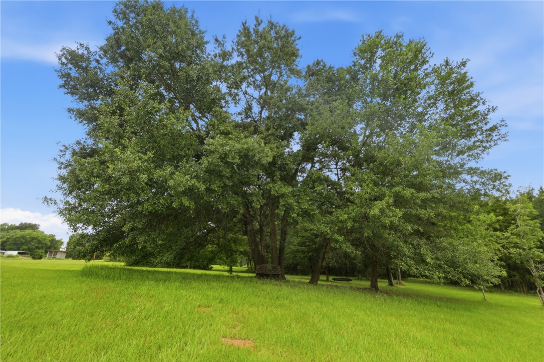 18578 Old Bundick Road Bryan, TX 77808 - Photo 40 of 44
