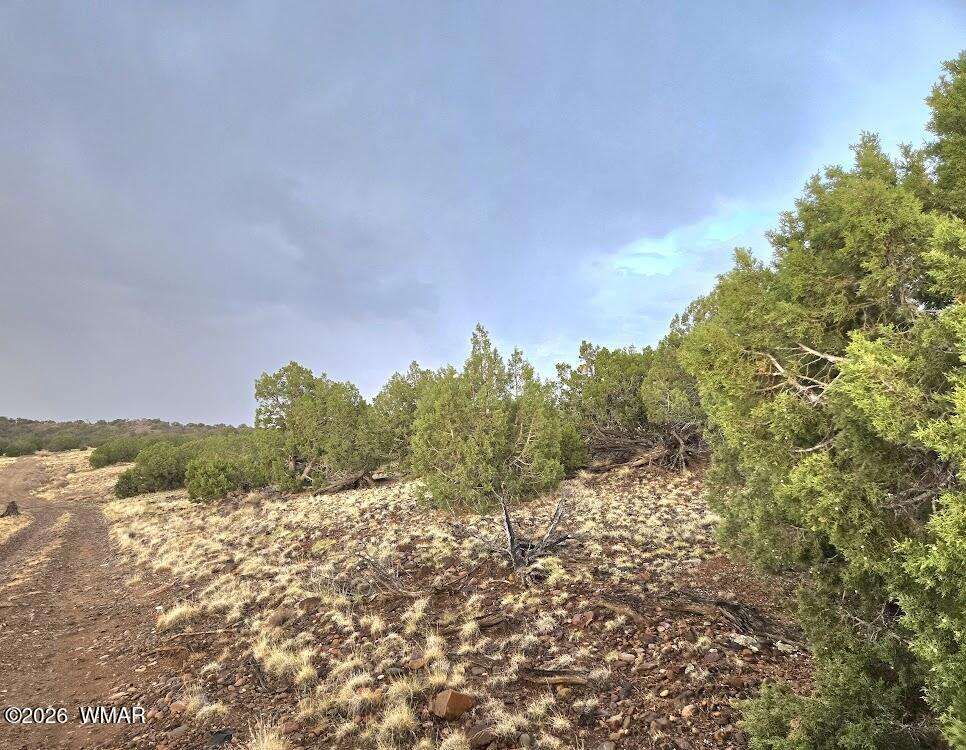 Lot 9 Pinon Valley Ranch Concho, AZ 85924 - Photo 4 of 12