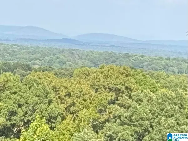 $224,900 | 345 County Road 467, Vincent, AL 35178