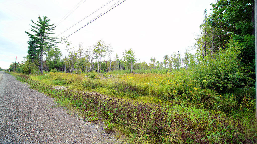 Lot 4 Callaghan Road Houlton, ME 04730 - Photo 9 of 23 davis-callaghan-rd-7
