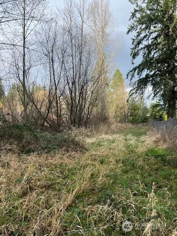 a view of a yard with plants and trees