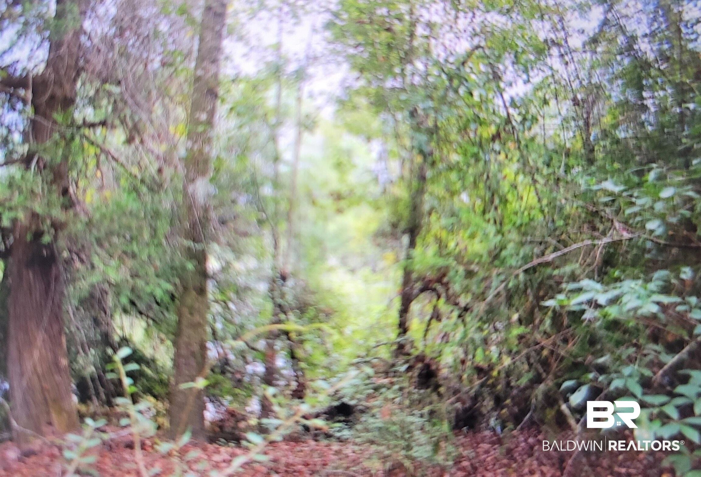 0 Juniper Road Seminole, AL 36574 - Photo 11 of 26