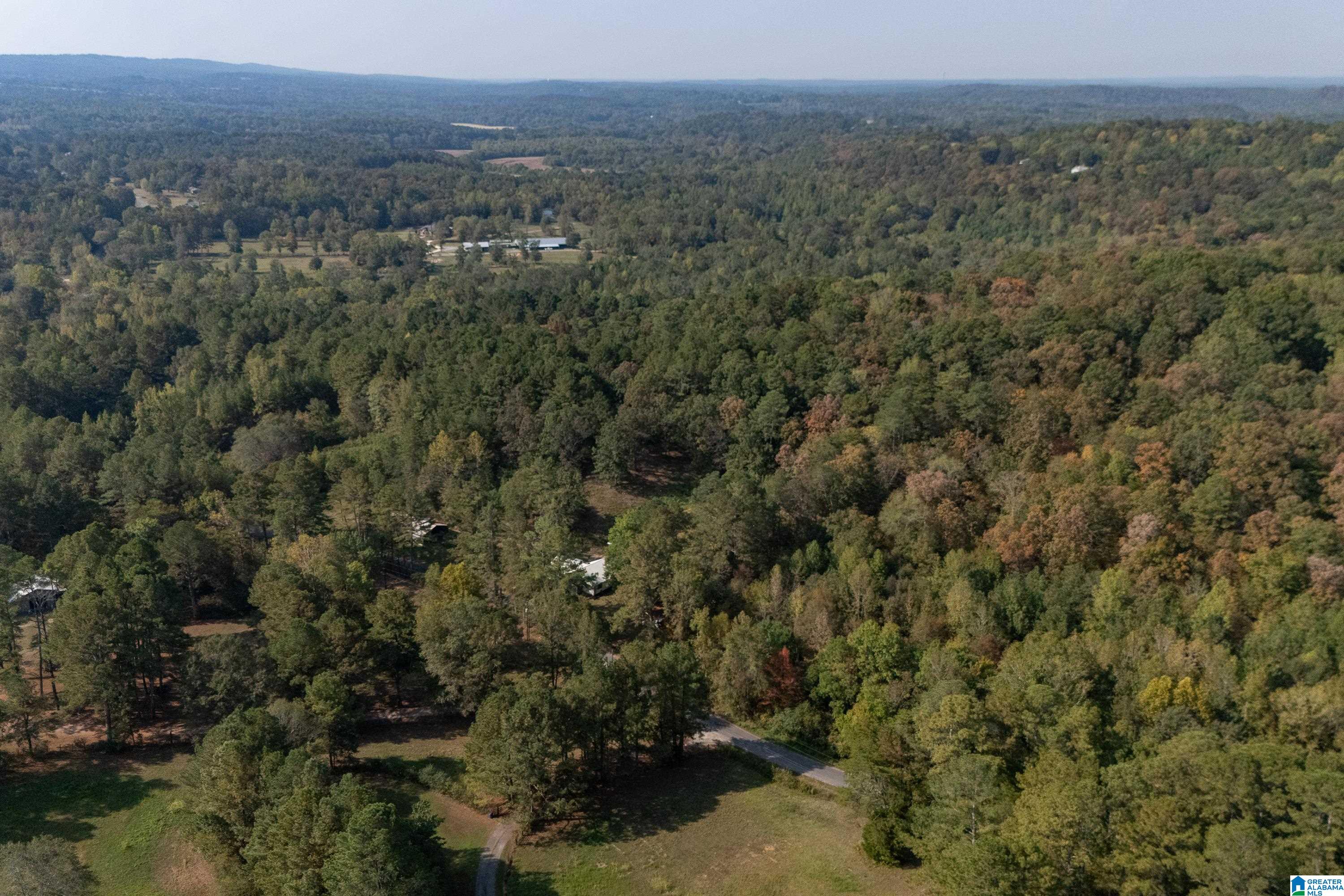 2787 Deavers Town Road Cleveland, AL 35049 - Photo 30 of 47