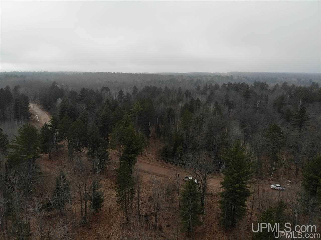 Tbd Plains Cutoff Road Baraga, MI 49908 - Photo 35 of 49