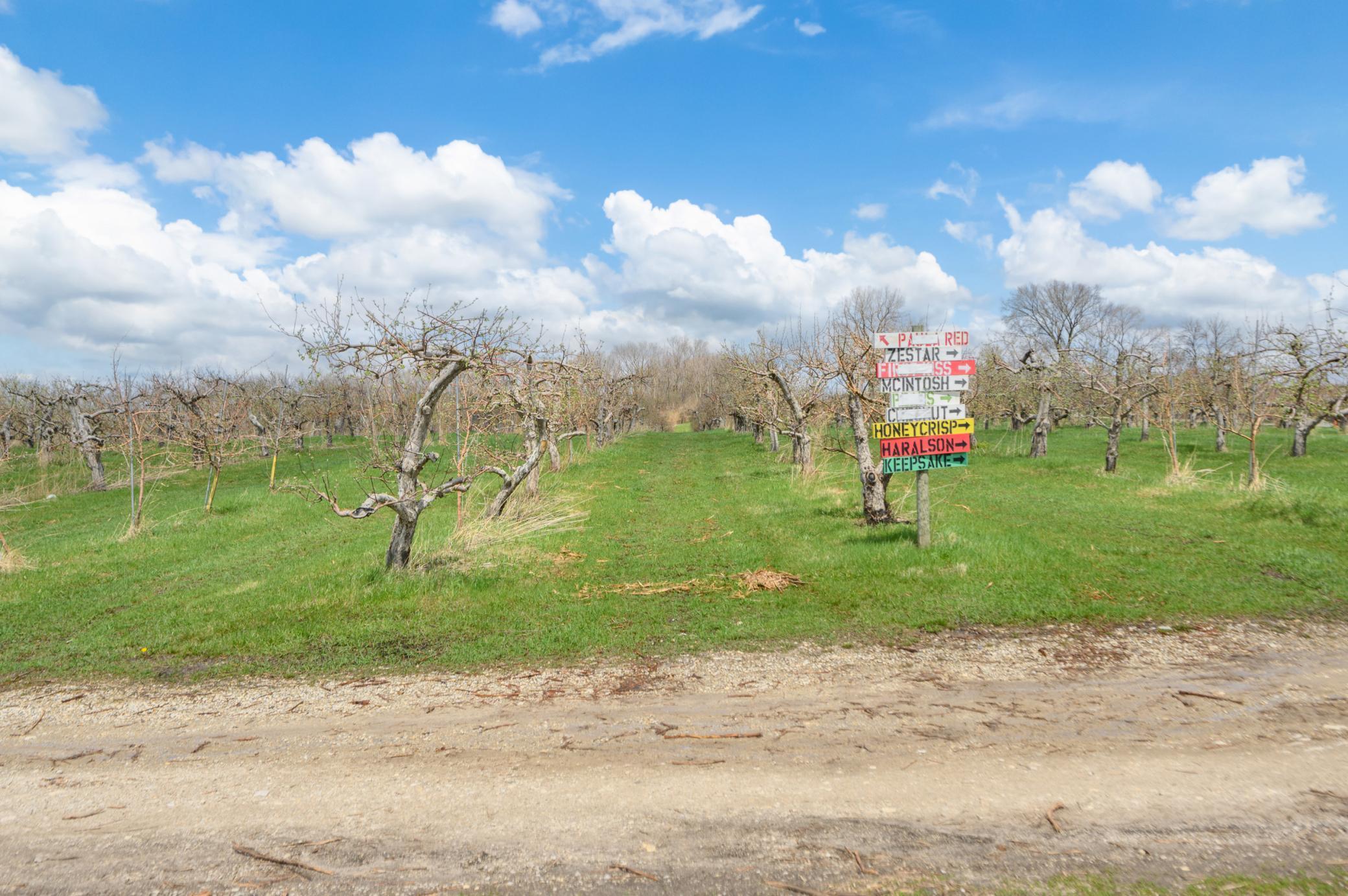 3415 Collegeview Road East Rochester, MN 55904 - Photo 24 of 48