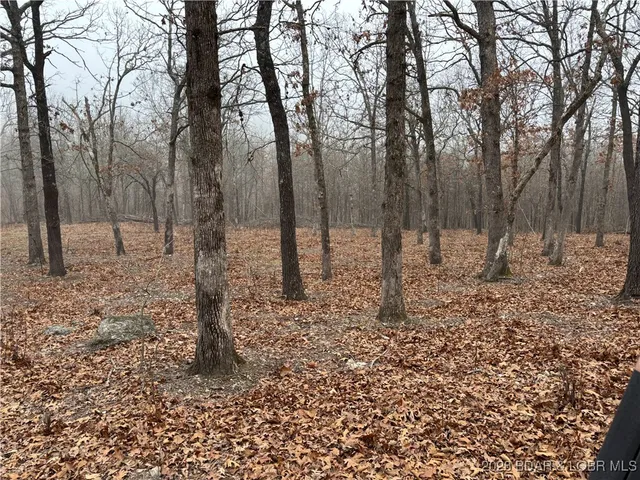 $128,000 | Tract D Industry Road, Lebanon, MO 65536