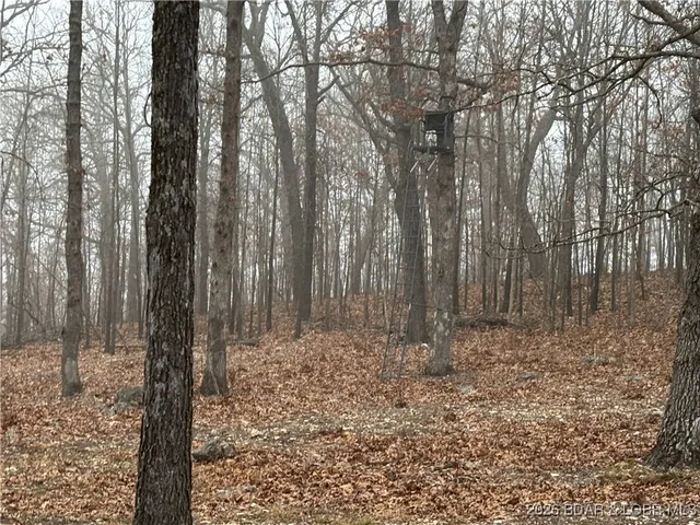 $128,000 | Tract D Industry Road, Lebanon, MO 65536