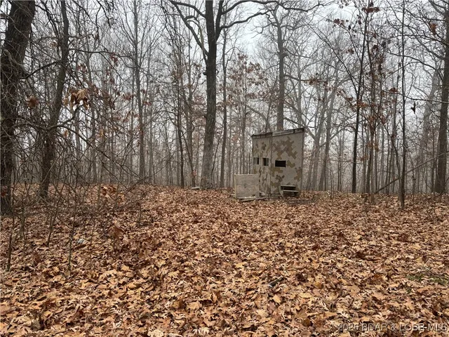 $128,000 | Tract D Industry Road, Lebanon, MO 65536