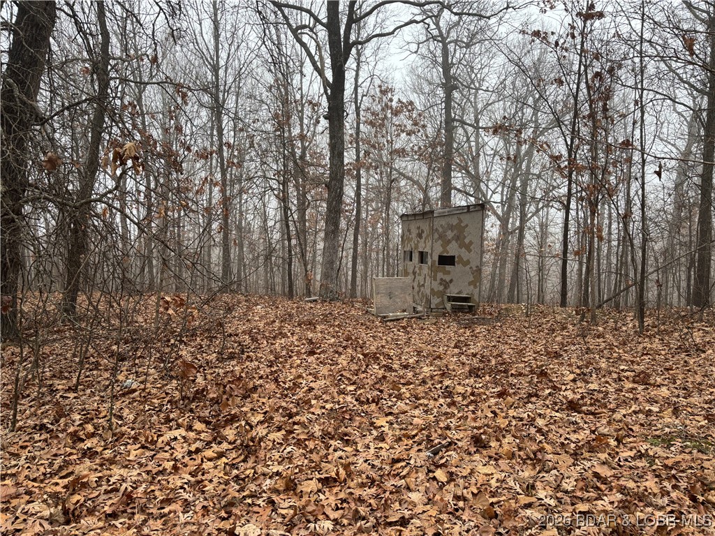 Tract D Industry Road Lebanon, MO 65536 - Photo 4 of 12