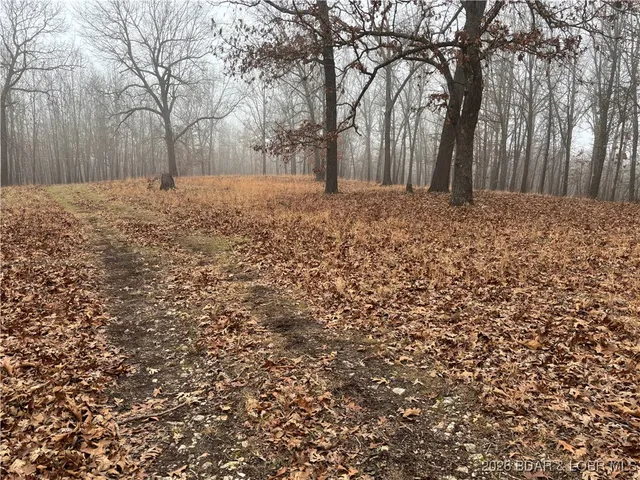 $128,000 | Tract D Industry Road, Lebanon, MO 65536