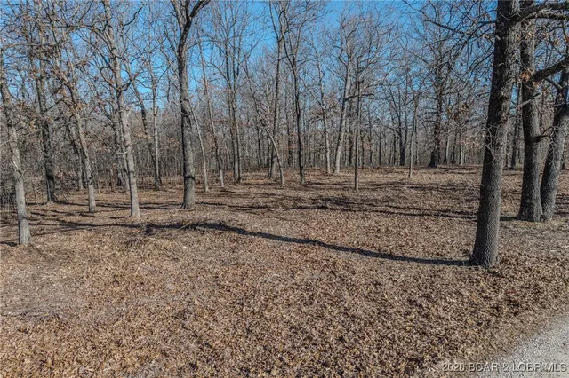 $128,000 | Tract D Industry Road, Lebanon, MO 65536