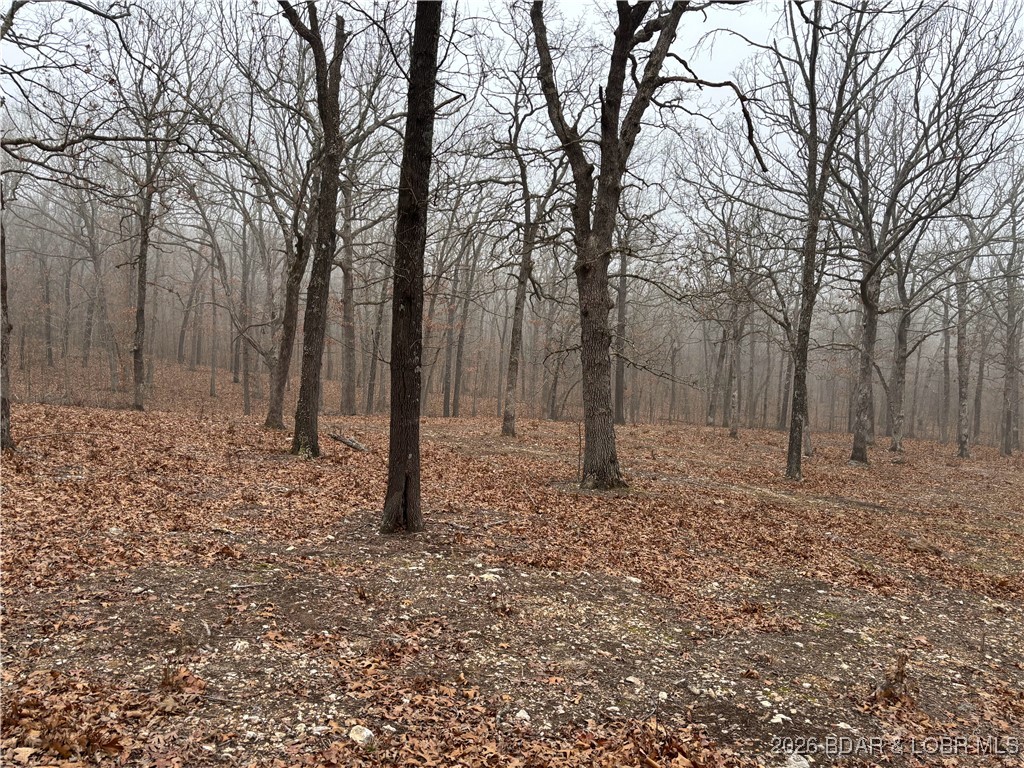 Tract D Industry Road Lebanon, MO 65536 - Photo 7 of 12