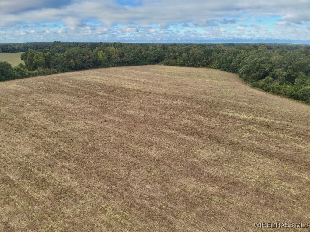 49-acres Mt Zion Road Gordon, AL 36343 - Photo 4 of 20 Gallery Image 4