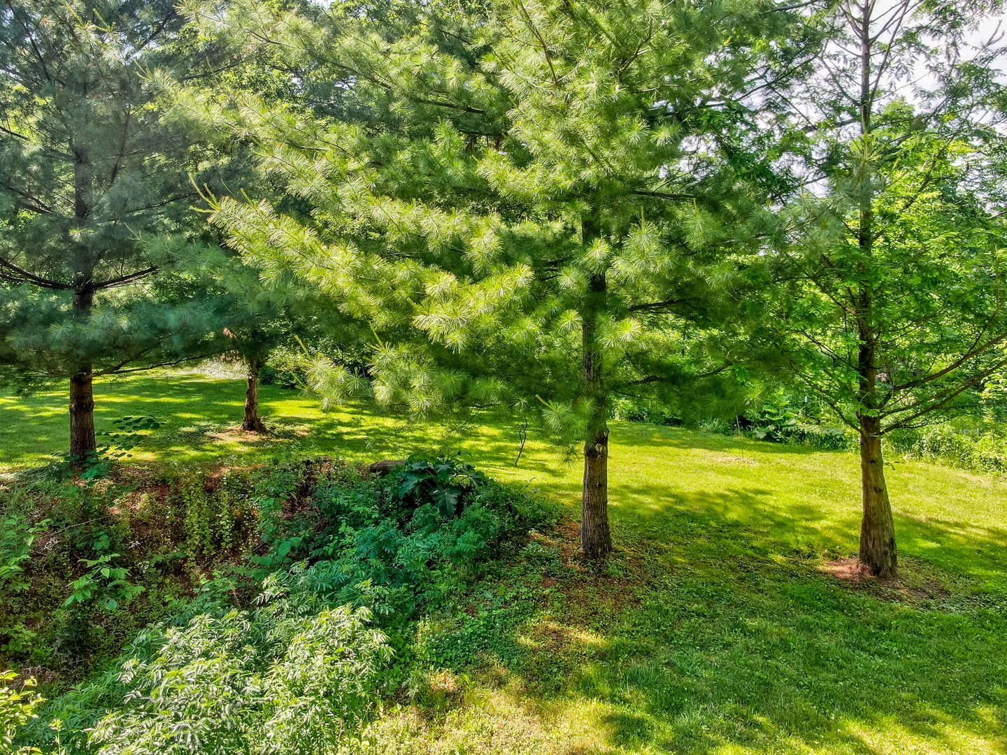 2751 East 1835th Road Ottawa, IL 61350 - Photo 26 of 31 Gallery Image 26