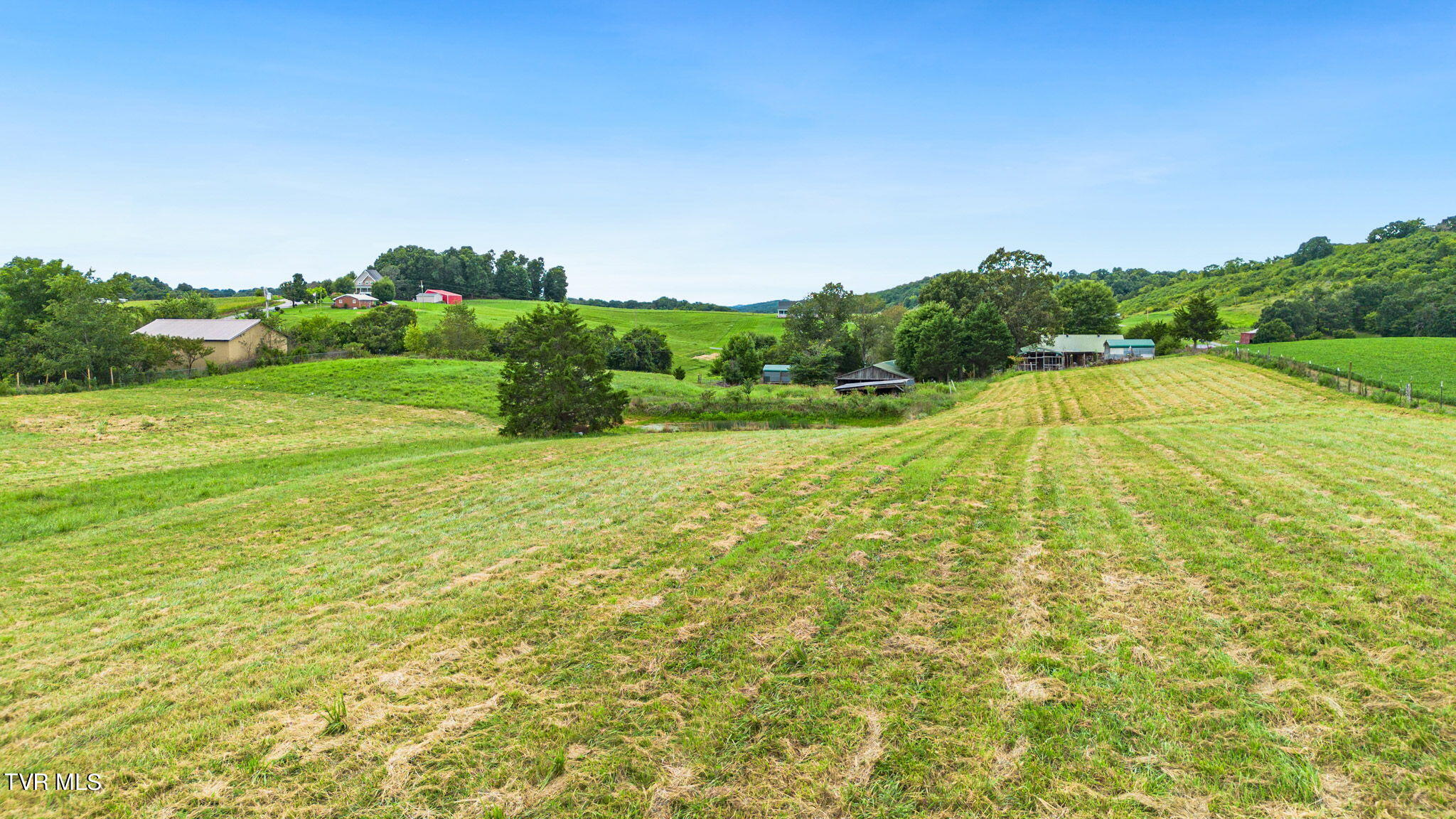 2185 Old Midway Road Mosheim, TN 37818 - Photo 41 of 48 3-web-or-mls-DJI_0979