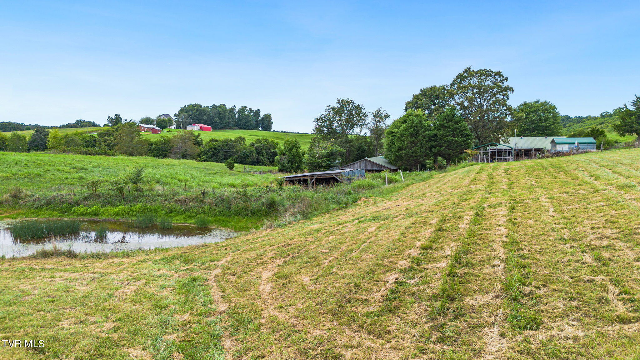 2185 Old Midway Road Mosheim, TN 37818 - Photo 42 of 48 12-web-or-mls-DJI_0988