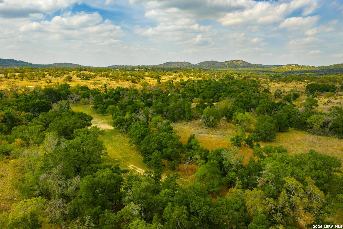 718 Ranch-to-Market 473 Comfort, TX 78013 - Photo 41 of 50