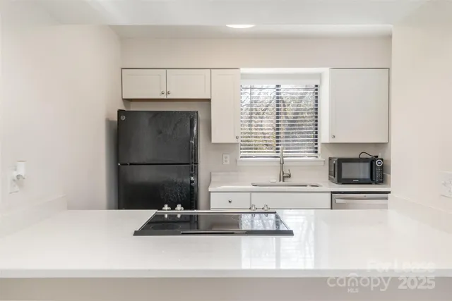 $1,250 | 11039 Cedar View Road, Charlotte, NC 28226