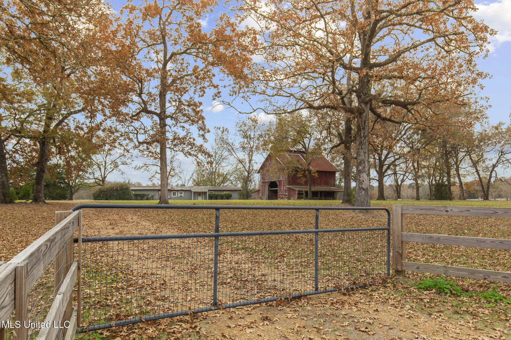 875 Robinson Road Canton, MS 39046 - Photo 11 of 97 3-web-or-mls-875 Robinson-2025-2