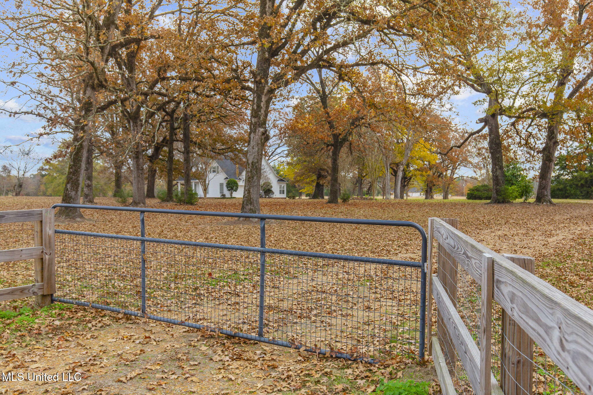 875 Robinson Road Canton, MS 39046 - Photo 12 of 97 2-web-or-mls-875 Robinson-2025-1