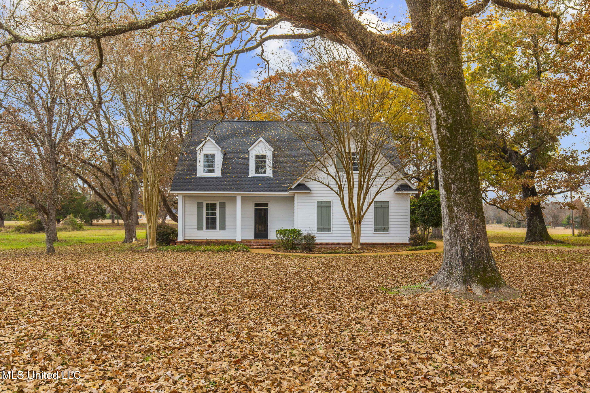 875 Robinson Road Canton, MS 39046 - Photo 2 of 97 15-web-or-mls-875 Robinson-2025-14