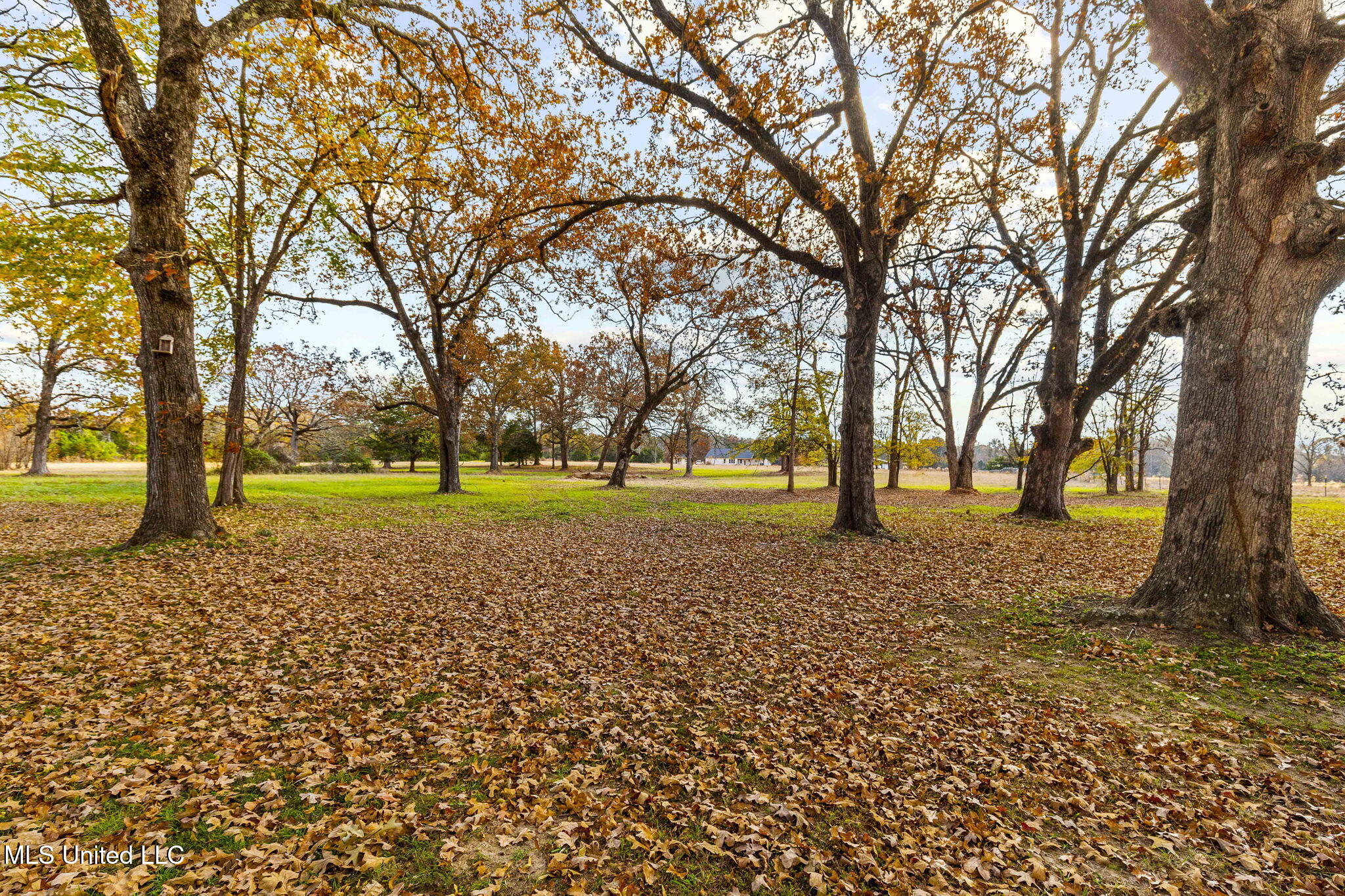 875 Robinson Road Canton, MS 39046 - Photo 69 of 97 76-web-or-mls-875 Robinson-2025-76