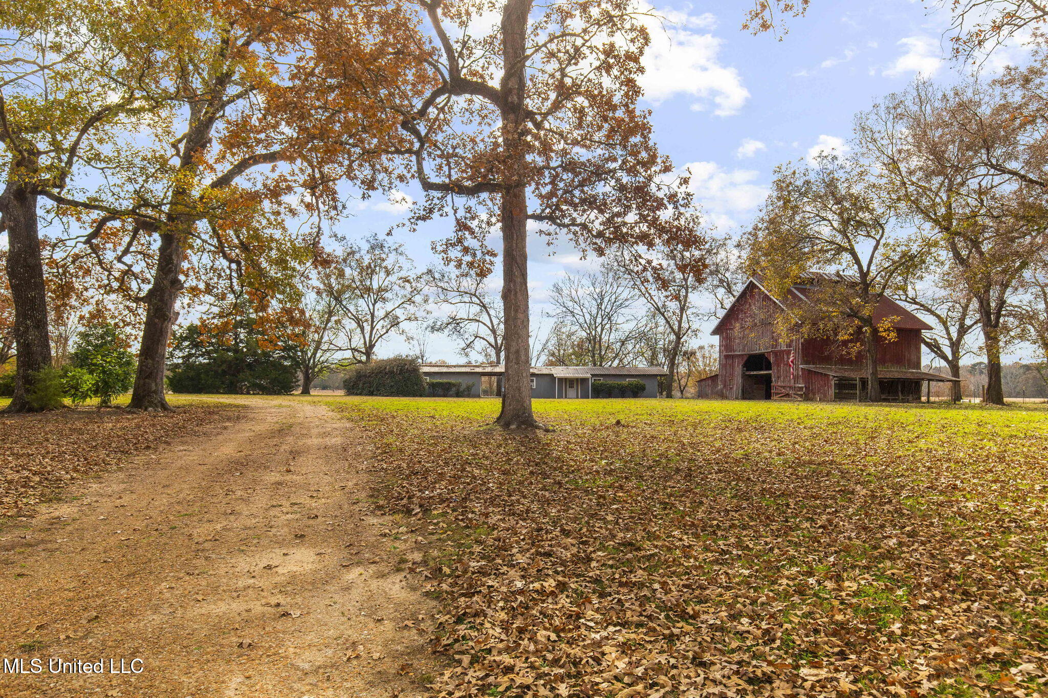 875 Robinson Road Canton, MS 39046 - Photo 79 of 97 85-web-or-mls-875 Robinson-2025-85