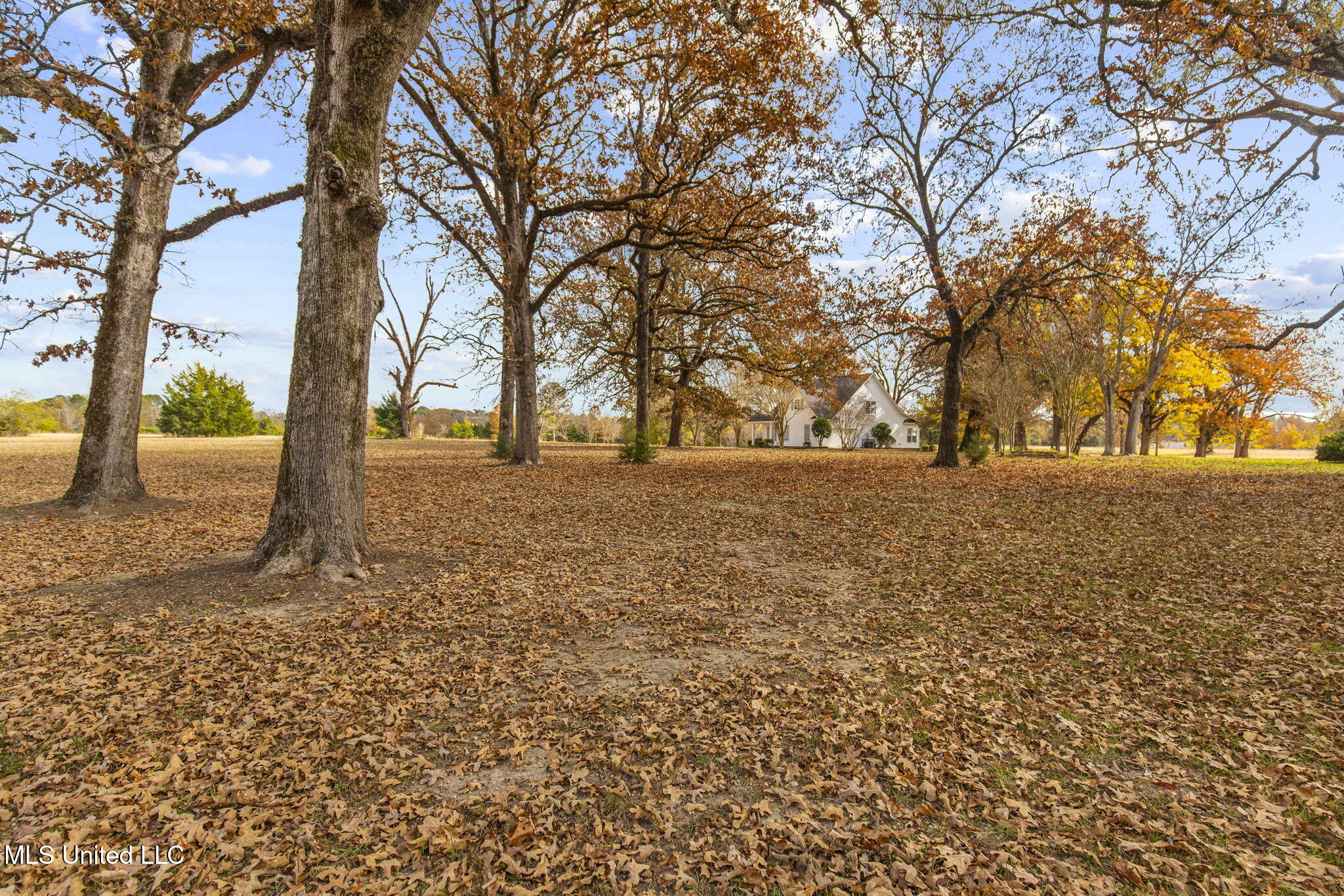 875 Robinson Road Canton, MS 39046 - Photo 80 of 97 87-web-or-mls-875 Robinson-2025-87