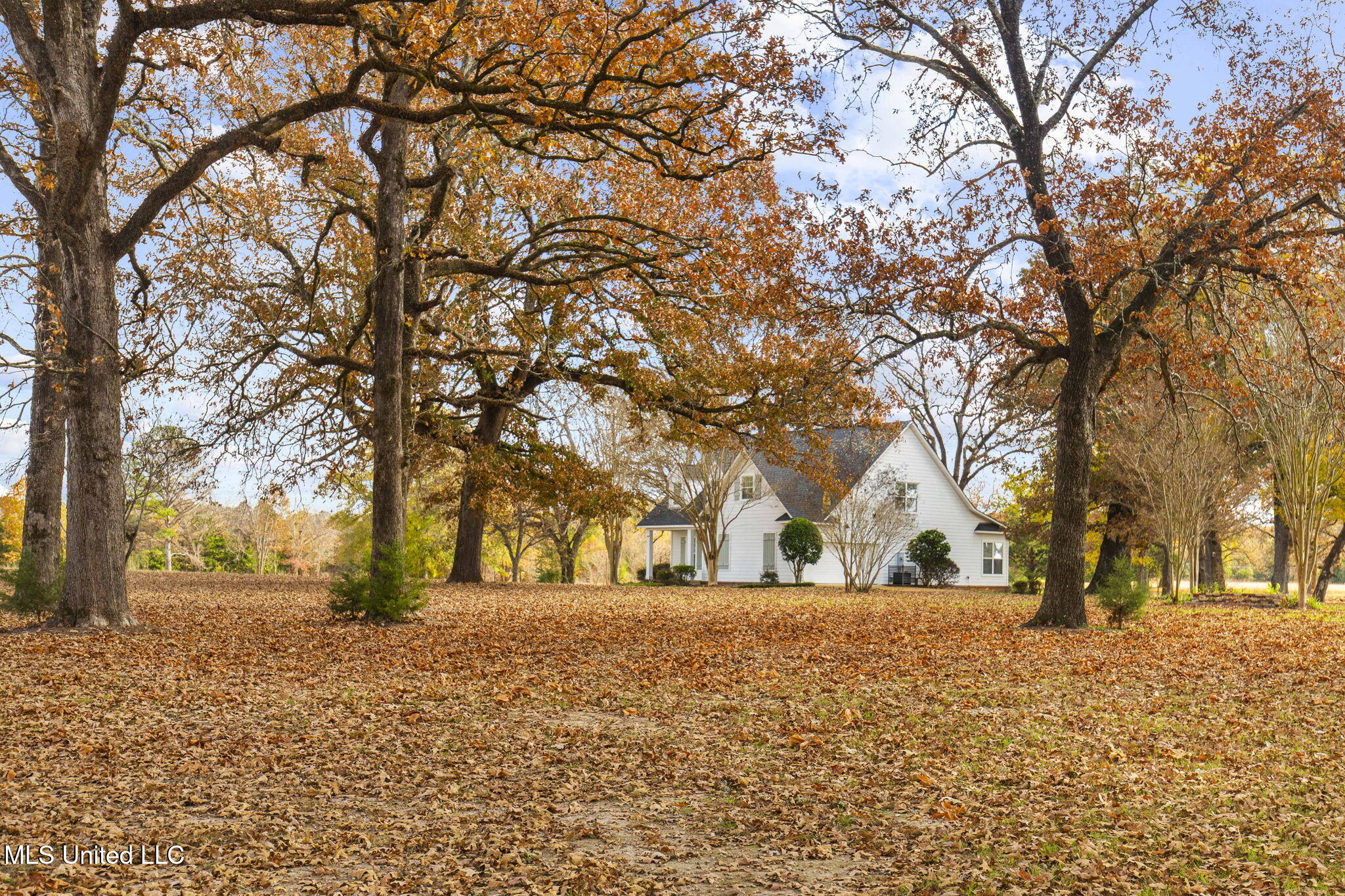 875 Robinson Road Canton, MS 39046 - Photo 81 of 97 88-web-or-mls-875 Robinson-2025-88