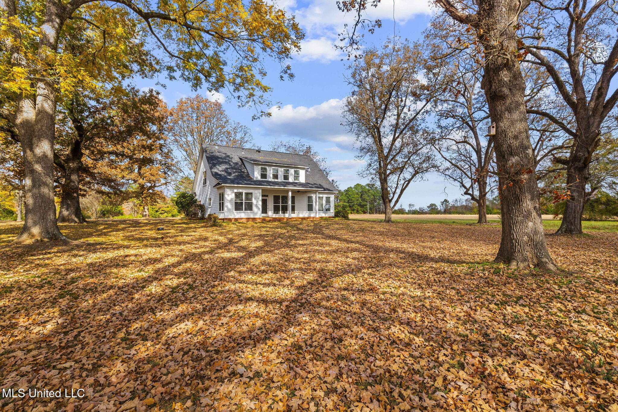 875 Robinson Road Canton, MS 39046 - Photo 90 of 97 74-web-or-mls-875 Robinson-2025-74