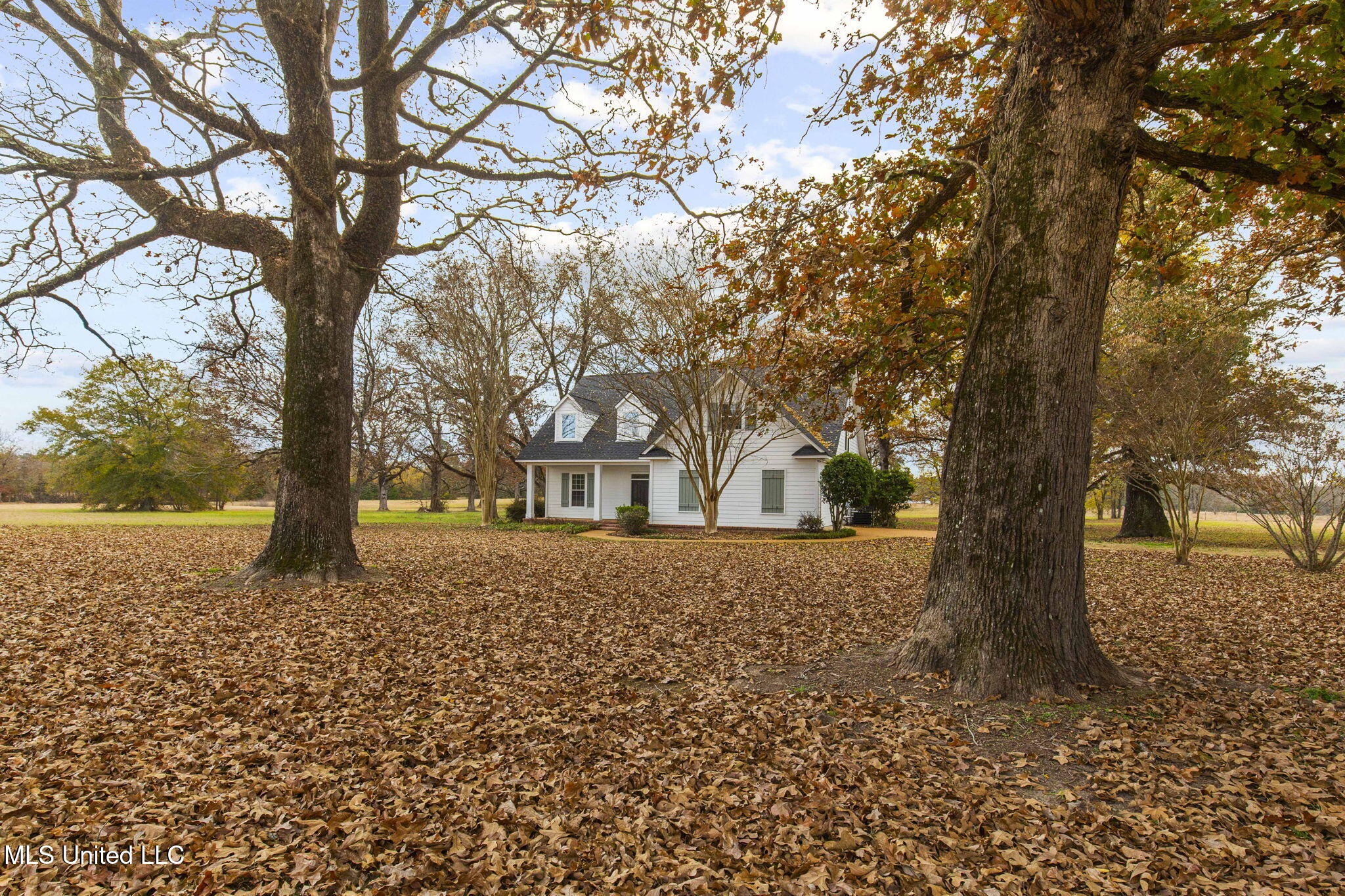 875 Robinson Road Canton, MS 39046 - Photo 95 of 97 13-web-or-mls-875 Robinson-2025-12