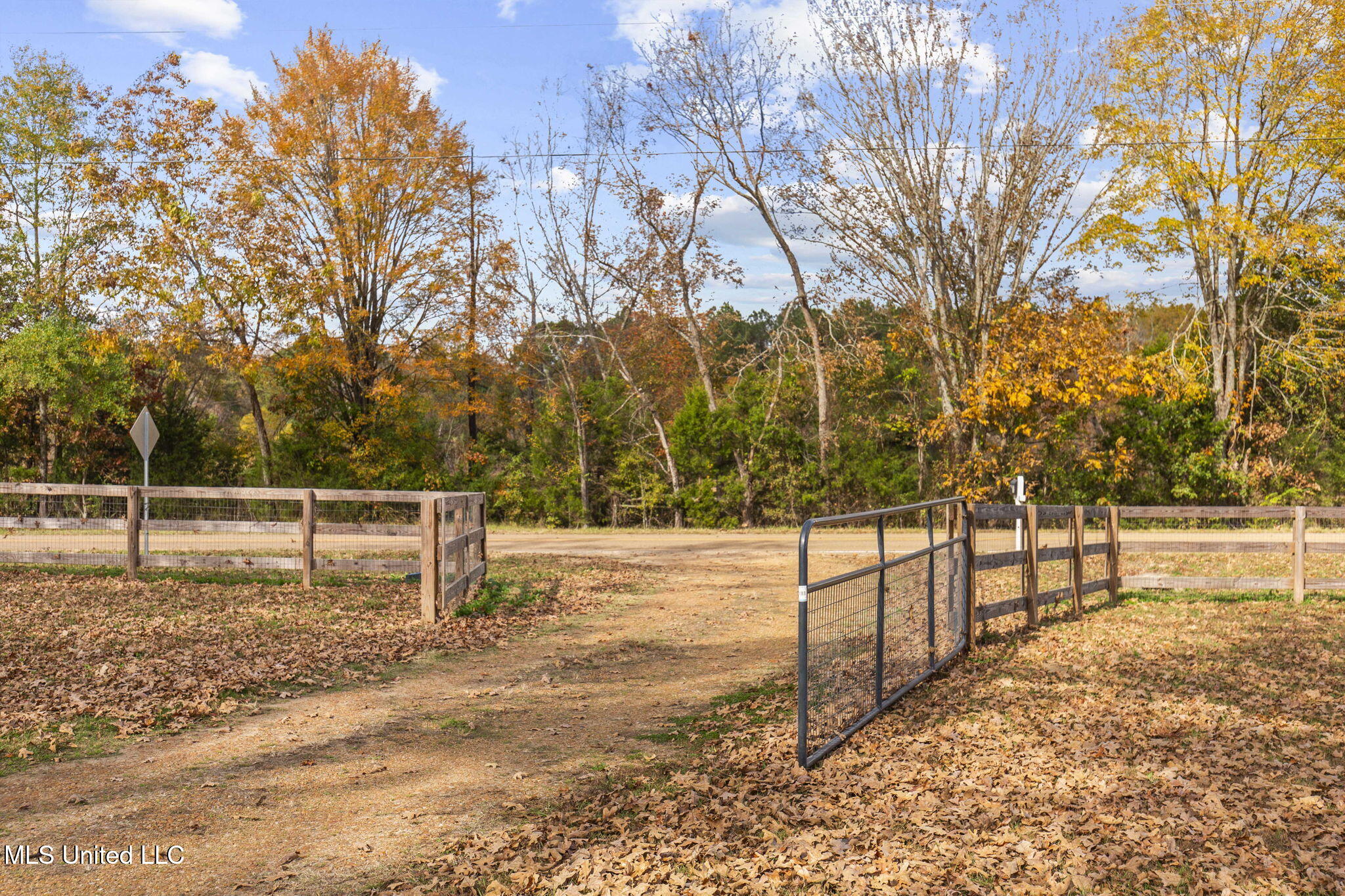 875 Robinson Road Canton, MS 39046 - Photo 10 of 97 89-web-or-mls-875 Robinson-2025-89