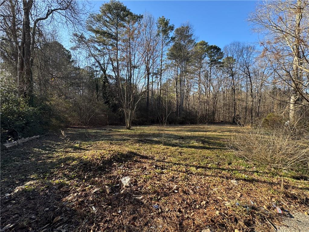 3955 Demooney Road Atlanta, GA 30349 - Photo 23 of 26 a backyard of a house with lots of green space