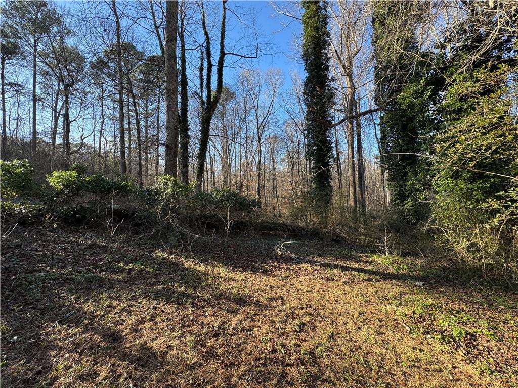 3955 Demooney Road Atlanta, GA 30349 - Photo 24 of 26 a backyard of a house with lots of green space