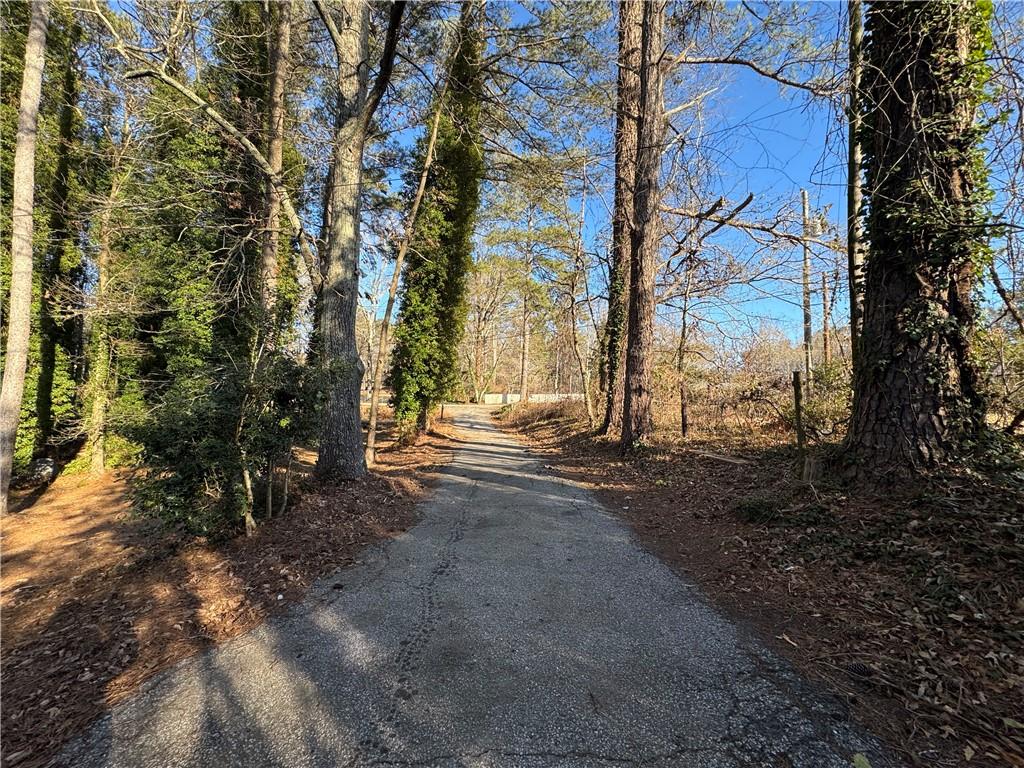 3955 Demooney Road Atlanta, GA 30349 - Photo 25 of 26 a view of a forest filled with trees