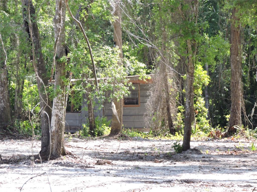 309 County Rd Crescent Georgetown, FL 32139 - Photo 6 of 9