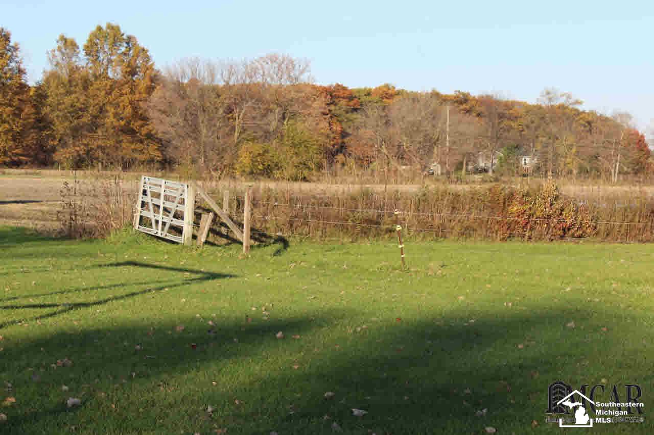 12165 West Albain Road Ida, MI 48140 - Photo 20 of 25 Pasture