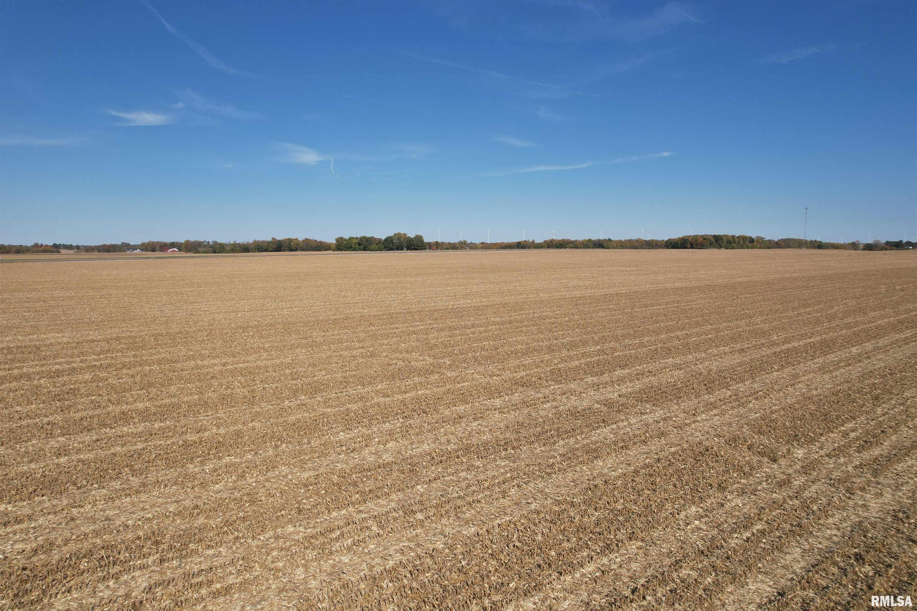Arnold Road Jacksonville, IL 62650 - Photo 8 of 13 Gallery Image 8