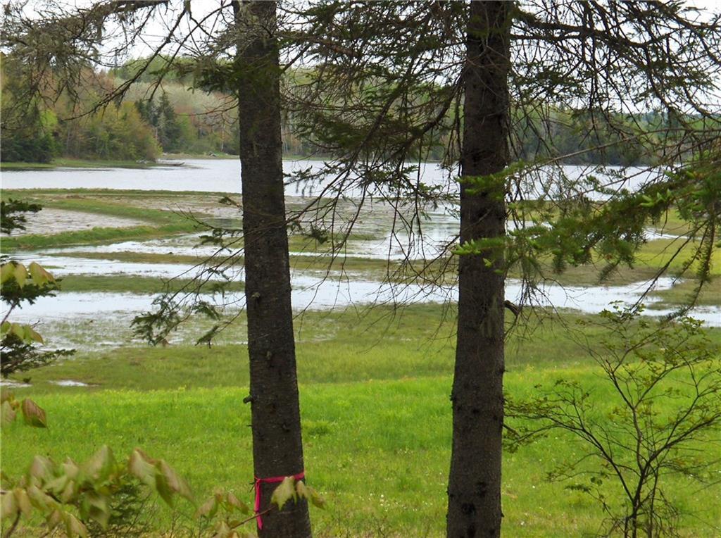 46 Kansas Road Milbridge, ME 04658 - Photo 3 of 17 Photo