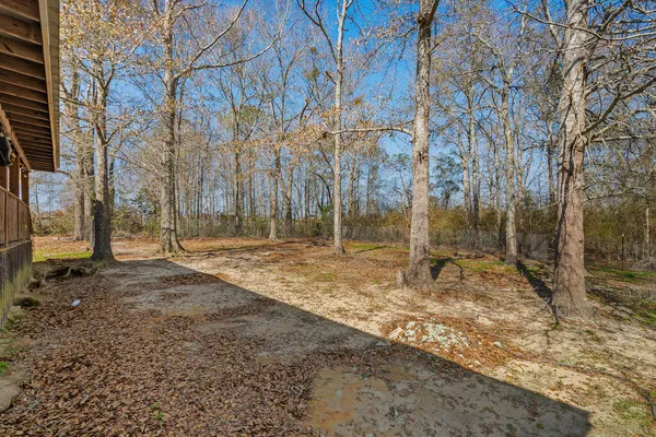 a view of a yard with trees