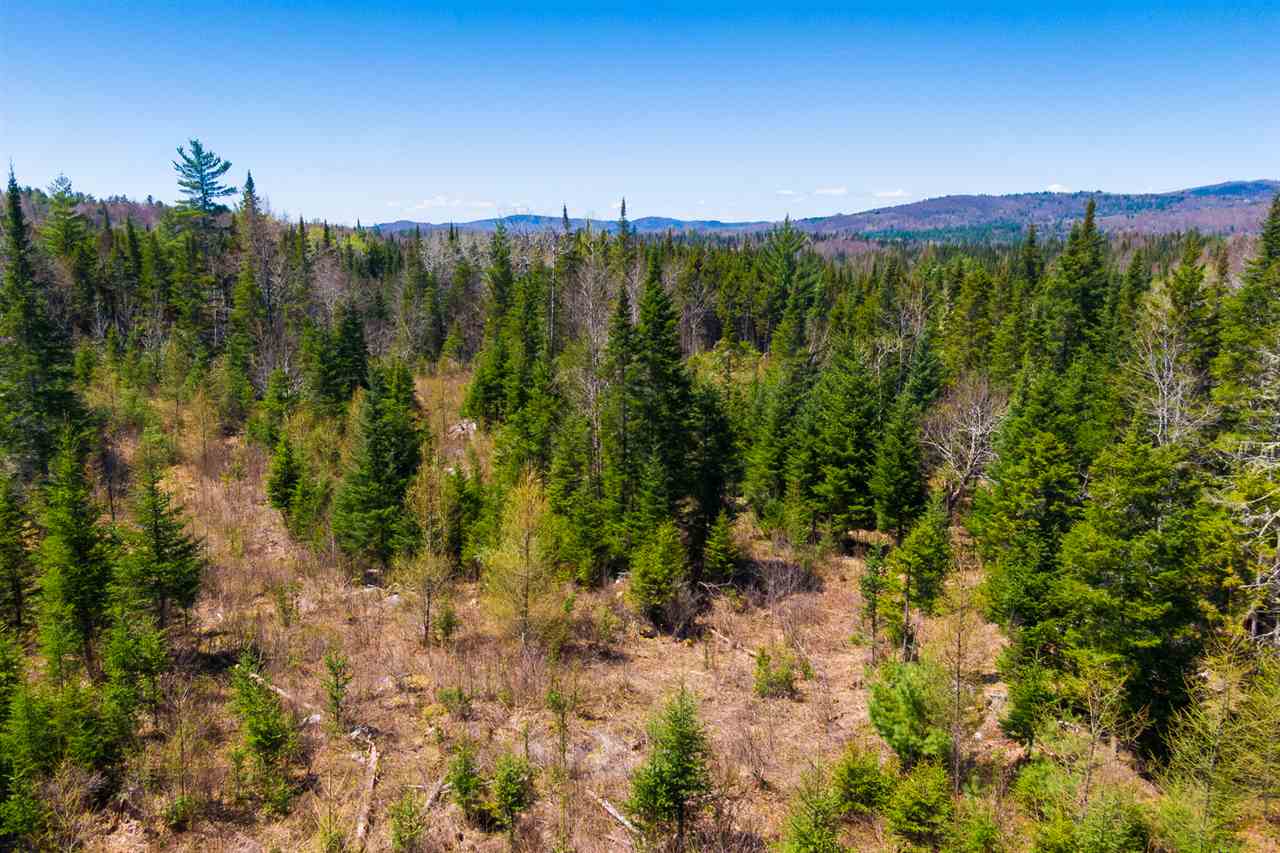 Ians Way Bethlehem, NH 03574 - Photo 22 of 32