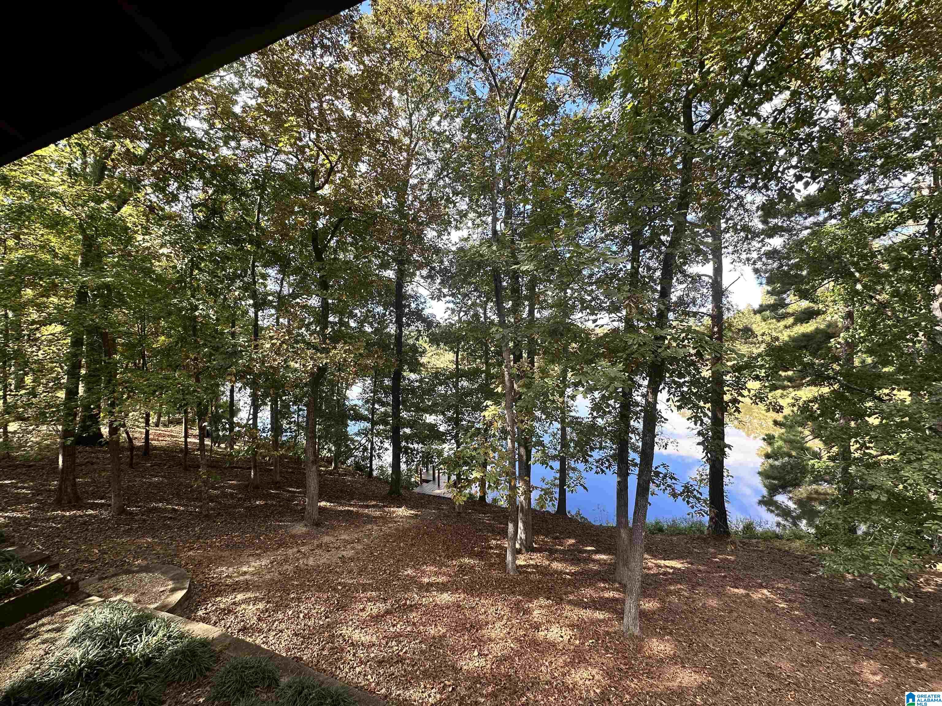 8 Seddon Point Pell City, AL 35128 - Photo 10 of 56