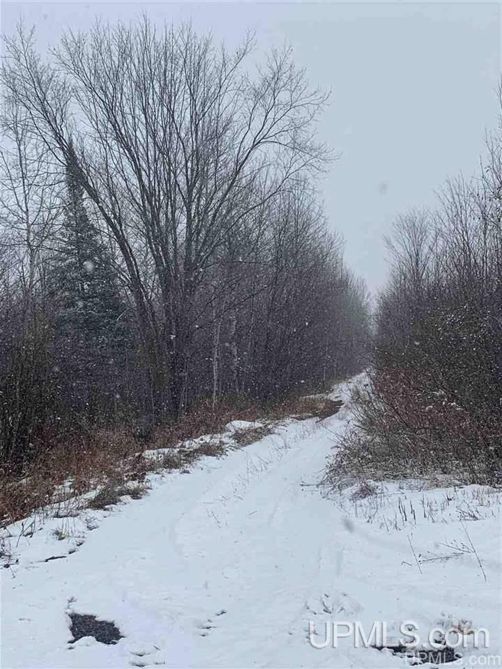 Tbd Lakehead Road Hurley, WI 54534 - Photo 7 of 7