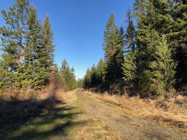 25 Highway 25 Road Kettle Falls, WA 99141 - Photo 8 of 11 Gallery Image 8