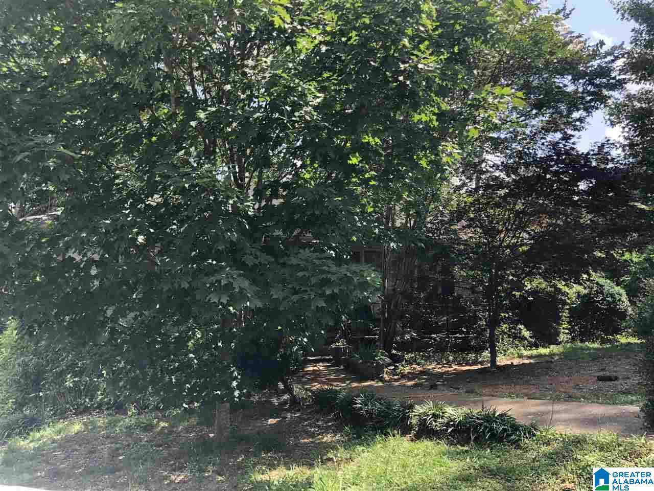 62 Pine Crest Road Birmingham, AL 35223 - Photo 5 of 18