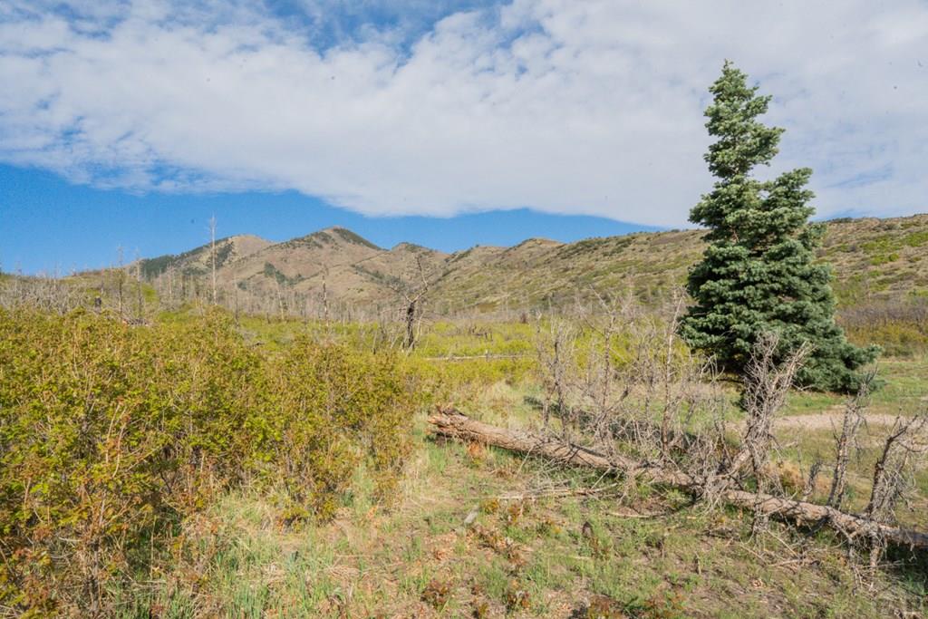 2004 Bear Springs Road Walsenburg, CO 81089 - Photo 32 of 68