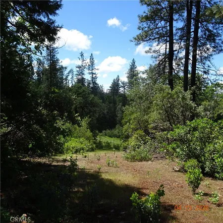 $60,000 | 0 Powell Ridge Road, Oroville, CA 95966