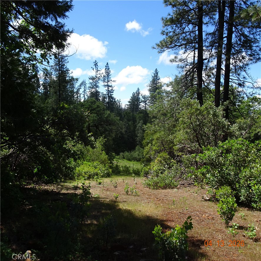 0 Powell Ridge Road Oroville, CA 95966 - Photo 1 of 9