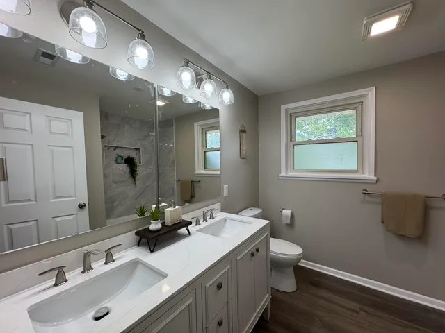 a bathroom with a sink double vanity and a toilet