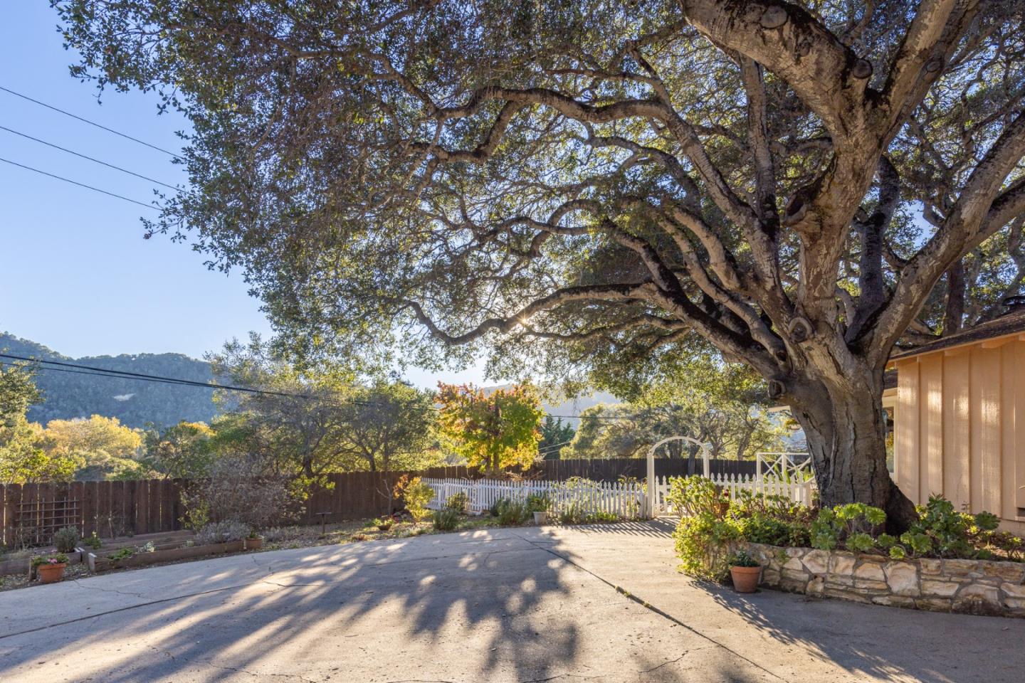 9805 Carmel Valley Road Carmel, CA 93923 - Photo 3 of 35 a view of backyard with tree
